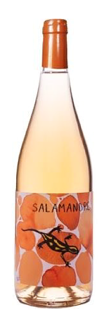 Salamandre 2025 Orange